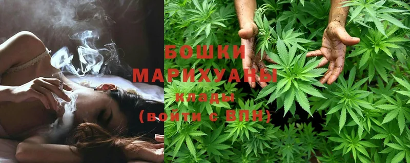 магазин    Армянск  Конопля SATIVA & INDICA 